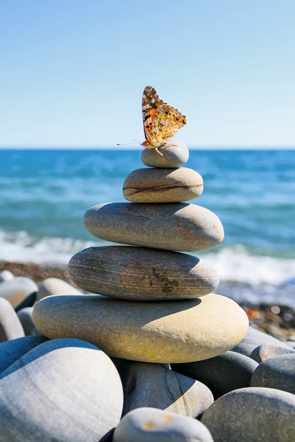 Alpha-Lipoic-Acid-IV-Therapy-Treatment A butterfly atop a stack of stones. Get Alpha Lipoic Acid IV Therapy from Guerda Johnson, FNP-C in Tyler East Texas Area.