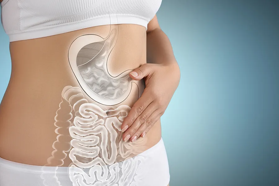 Gut-Health-Doctor Close up of the midriff of a woman with white underwear and an illustration of the digestive system superimposed over the image. Get help for digestive issues and gut health from Guerda Johnson, FNP-C in Tyler East Texas Area.