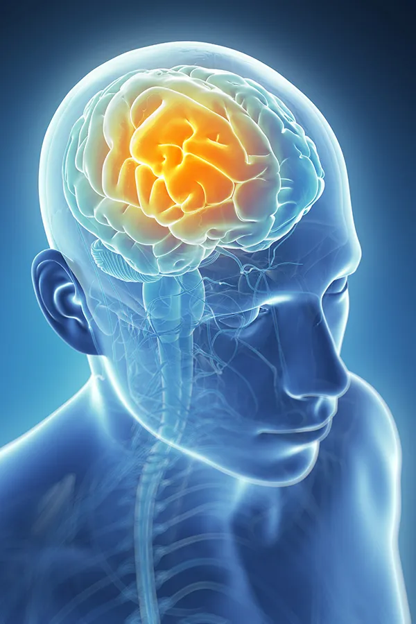 Hormone Balance voucher