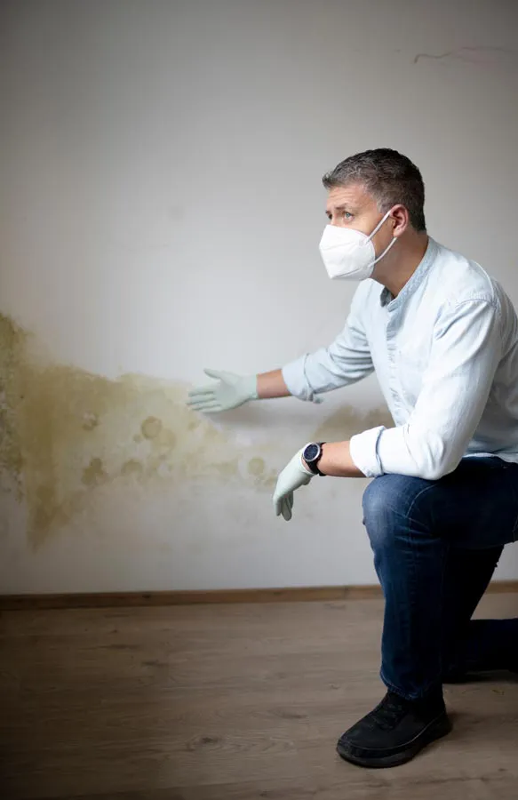 Mold-and-Mycotoxin-Treatment A building professional in a protective mask points out mold damage on a wall. Get treatment for mold and mycotoxin illness from Guerda Johnson, FNP-C in Tyler East Texas Area.