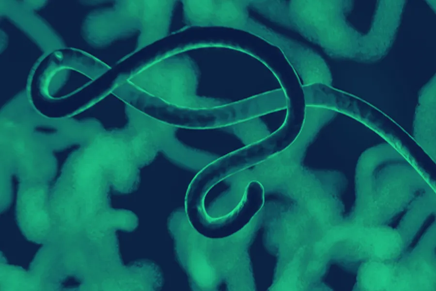 Parasite-Infection-Clinic